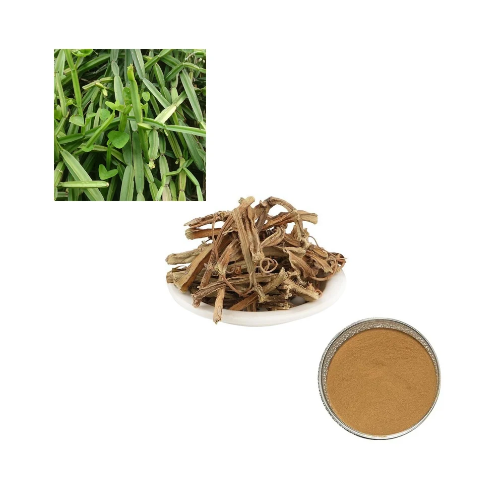 Best selling Good Ever Cissus Quadranqularis Powder Buy At Wholesale Price
