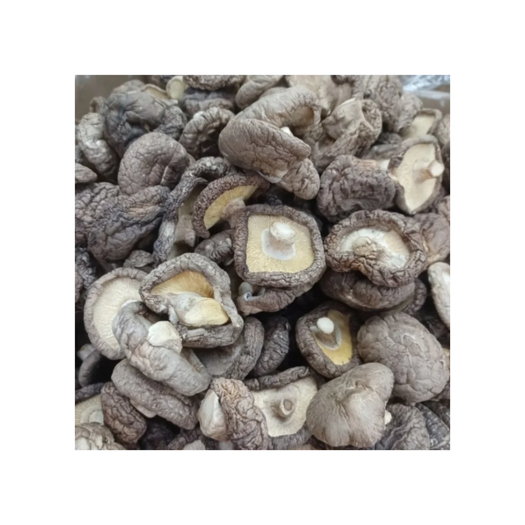 Dried Shiitake Mushrooms Wholesale Good Price Dehydrated Shiitake Mushroom