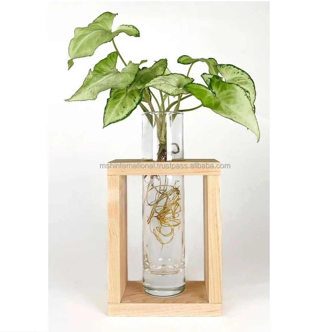 Indoor Glass Plant Terrarium with Wooden Stand test tube plant flower vase desktop propagation stations Hydroponic Vase Tube