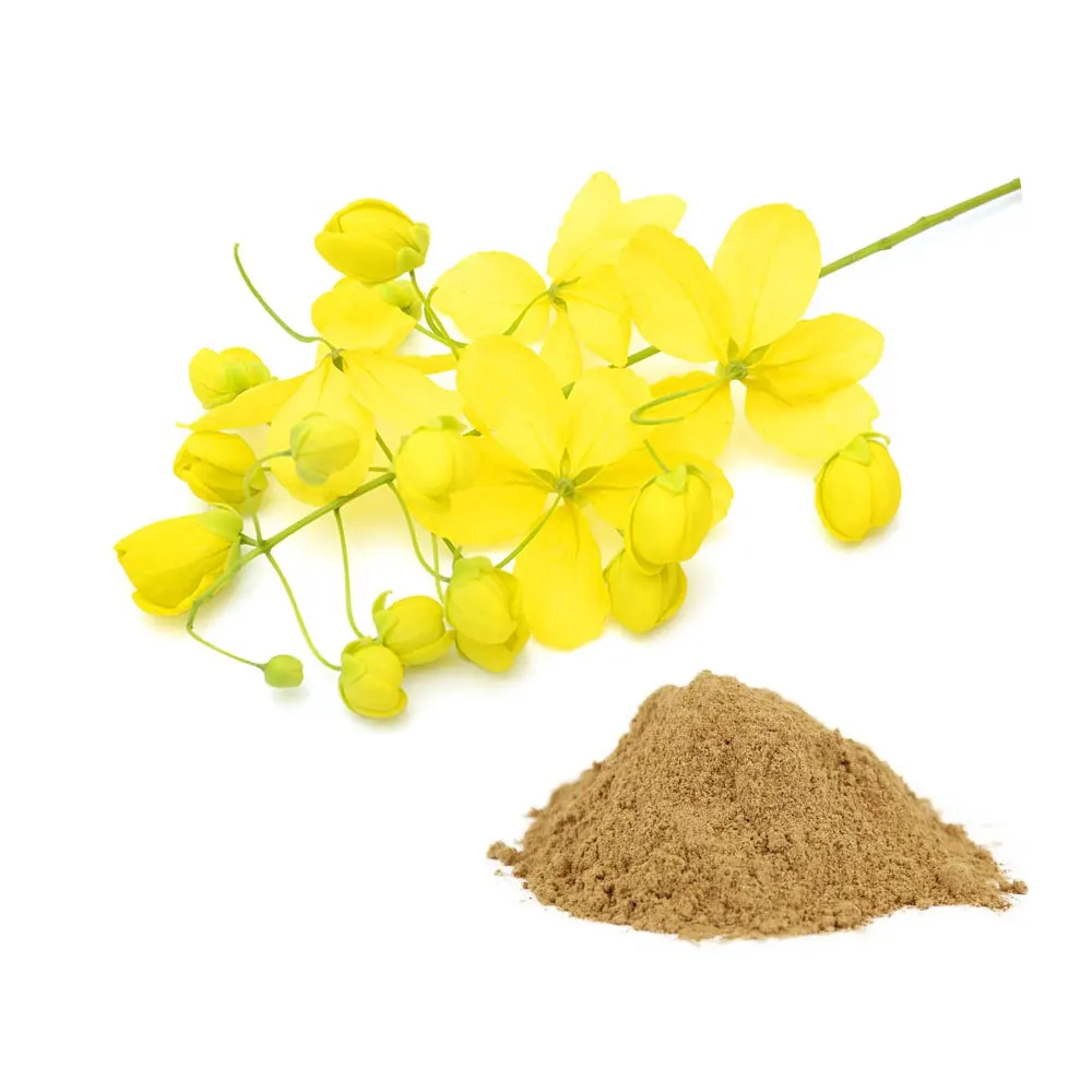 High Quality Amaltash Extract Powder Available Wholesale Price Customization available, Private labeling