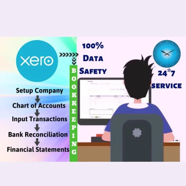 Предоставление услуг по сохранению книг с помощью xero