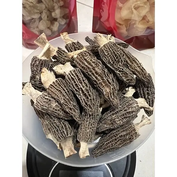 MUSHROOMS Dried Black Morels Mushrooms for Sale Akina