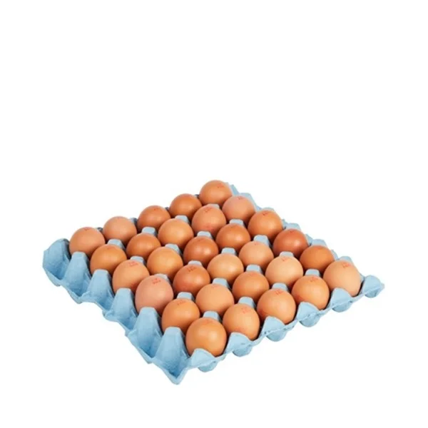 Купить свежие белые куриные яйца оптом дешевые свежие коричневые куриные яйца рядом со мной