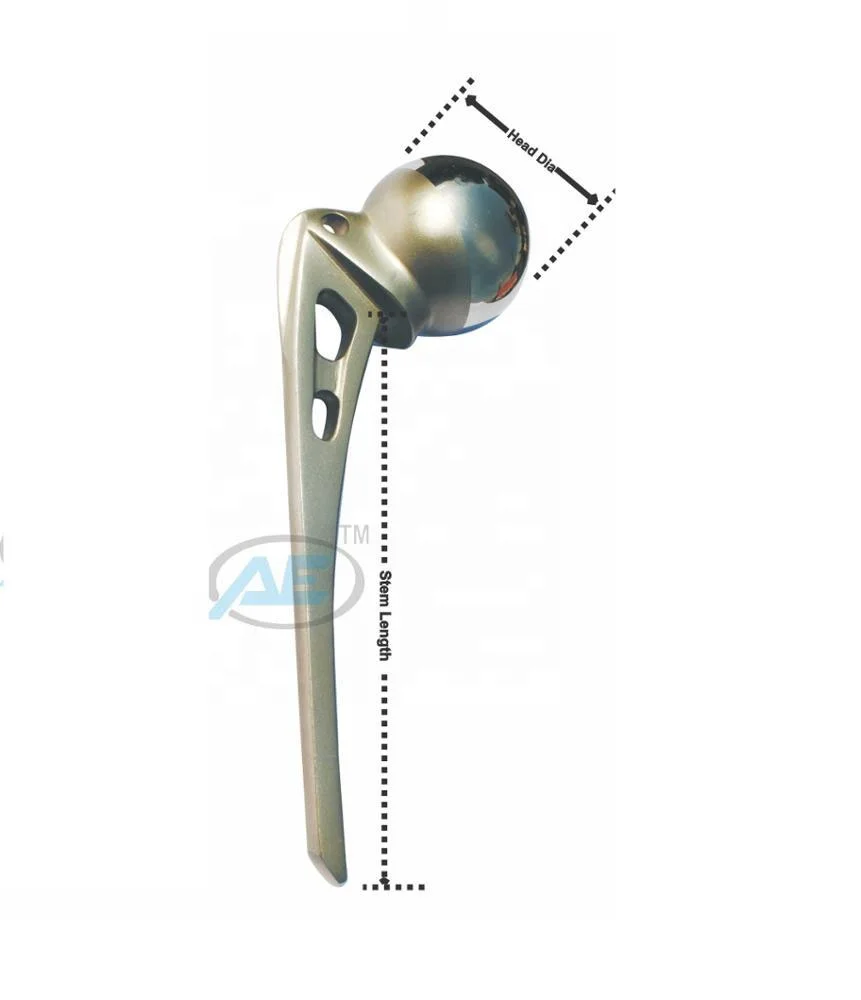 CE Certified India Manufacturer Wholesale Austin Moore Standard Stem at Lowest Price Hip Prosthesis Stainless Steel 316L