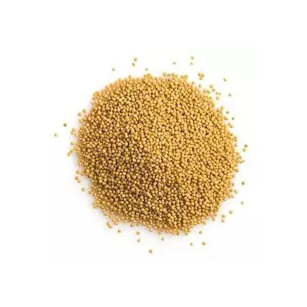 Fresh Quality Cattle Feed Pure Grain Rice Bran Yellow Mustard Seeds Latest Arrival Mustard Seeds For Animal Feed