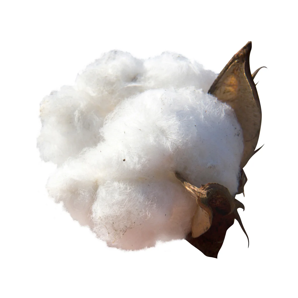 Top quality loose cotton cellulose for sale in bulk manufacturer price cellulose fiber