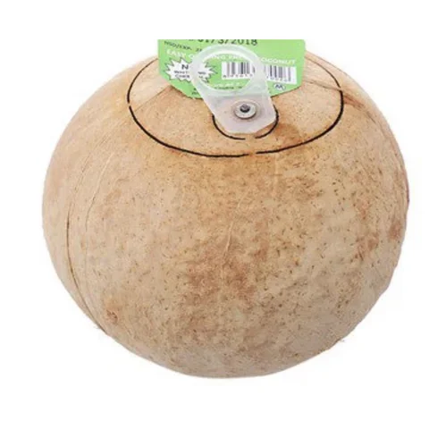 FRESH COCONUT WATER EASY TO OPEN LID COCONUT - FROM VIETNAM