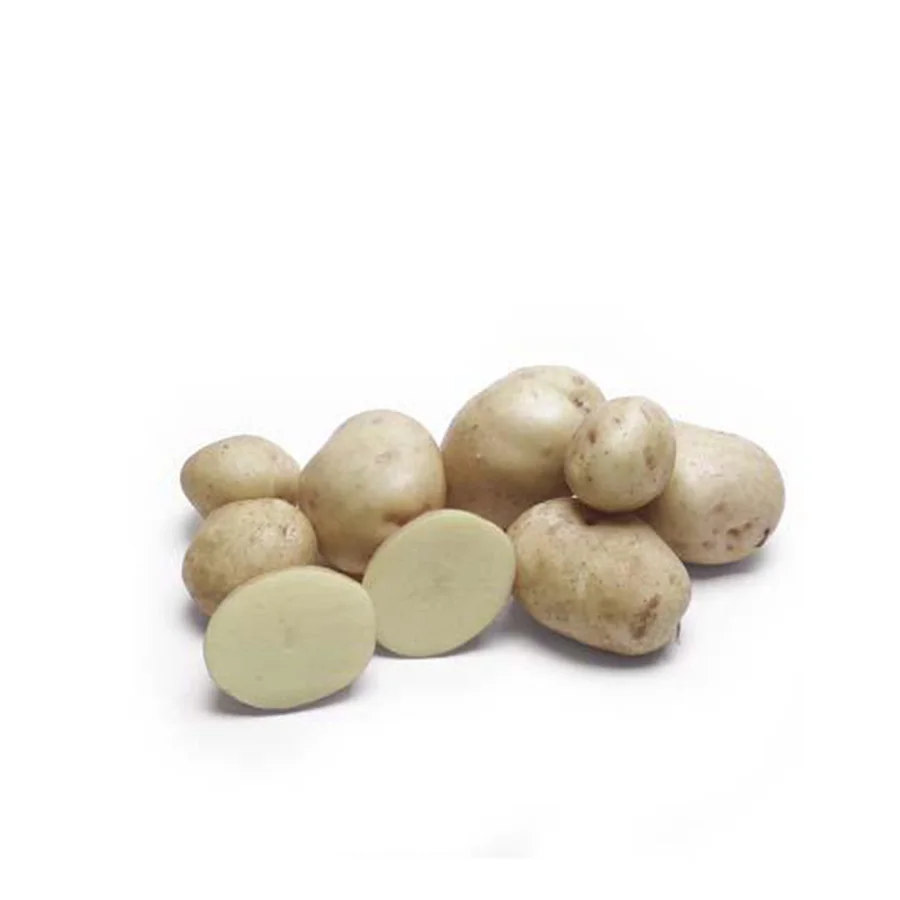 Fresh White Potato from Pakistan export quality white skin potato cheap price potato with customized packing