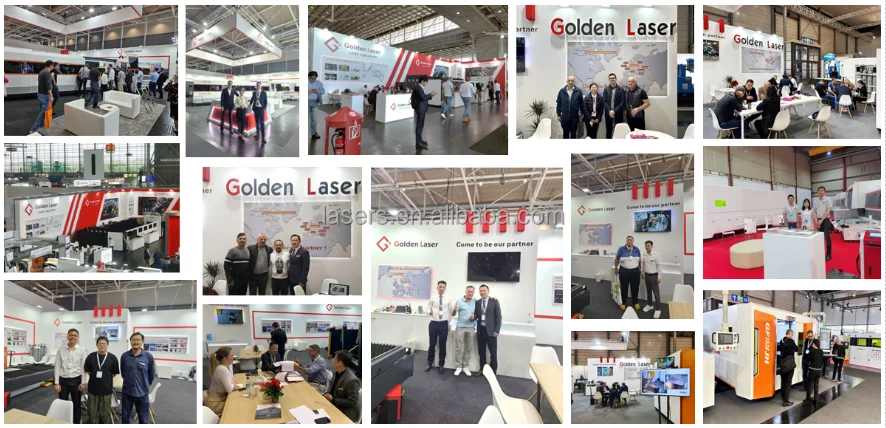 exhibitions