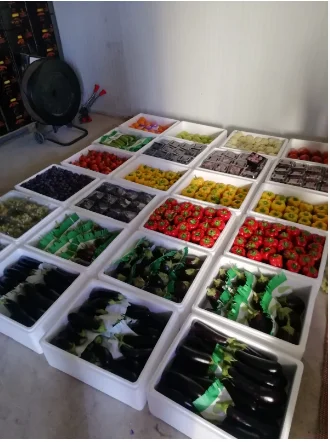 Fresh Red Cherry For Sale From Turkey Best Price 2022 High Quality