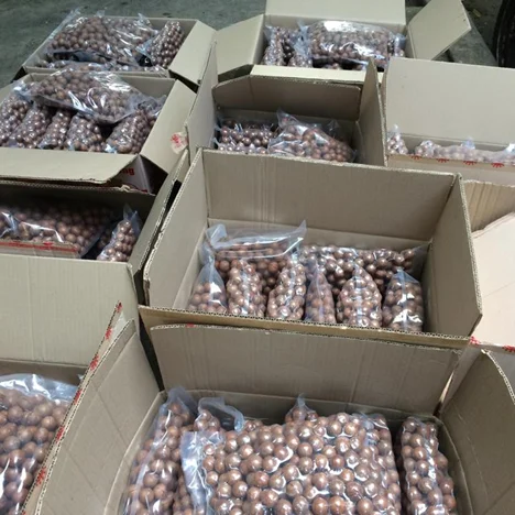 Macca Size 29-35 or Flagship Vietnamese Macadamia Factory Prices For Exporting Maca Nuts Dried