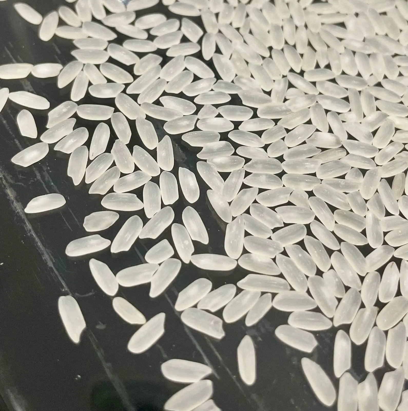 OEM Royal Medium Camolino Calrose Short Grain Rice packed 1kg 5kg 25kg 50kg bag from Viet Nam 2023 - WA:84-975807426 Lucy