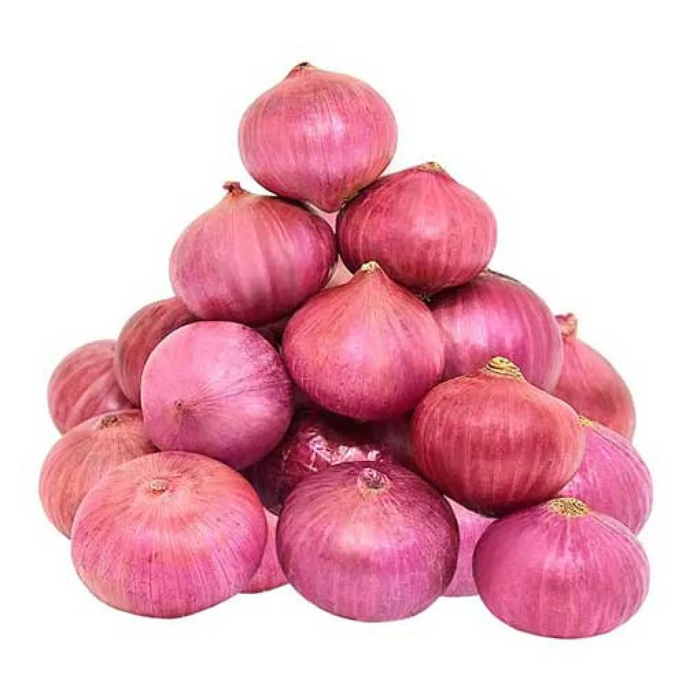 High Quality Product from South Africa - Fresh Onions Healthy New Natural and Organic Vegetables