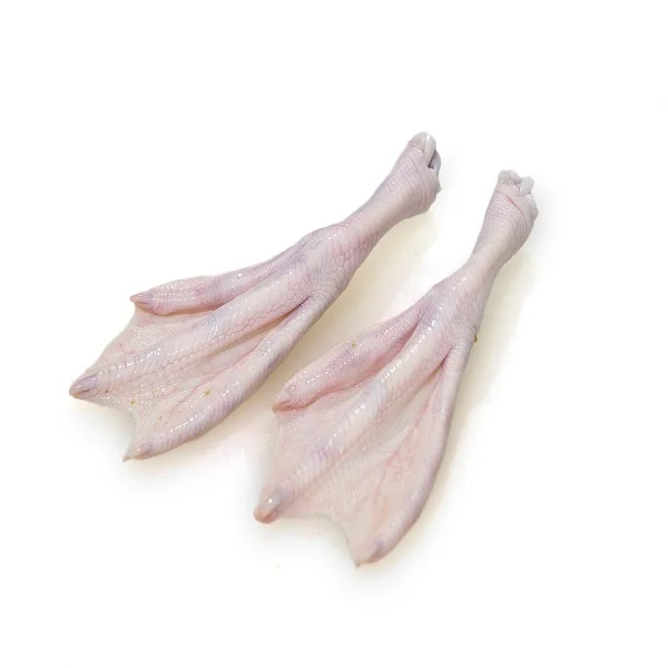 High quality HALAL Fresh and Frozen Duck Feet