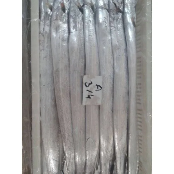 Hairtail/Ribbon fish available to export