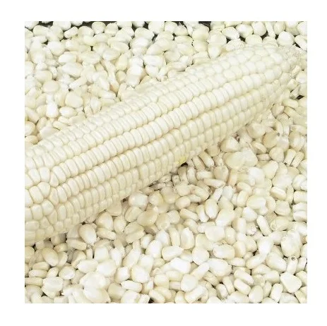 Белый Non GMO желтый и белый кукурузы Цена