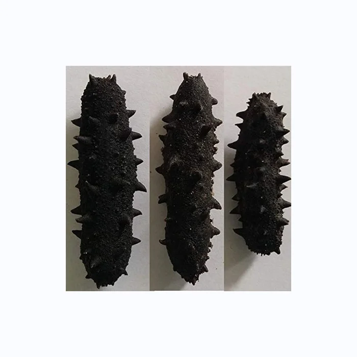 Dried Sea Cucumber / Frozen Sea Cucumber / Fresh Sea Cucumber Best Wholesale Priced Dried & Frozen Sea Cucumber