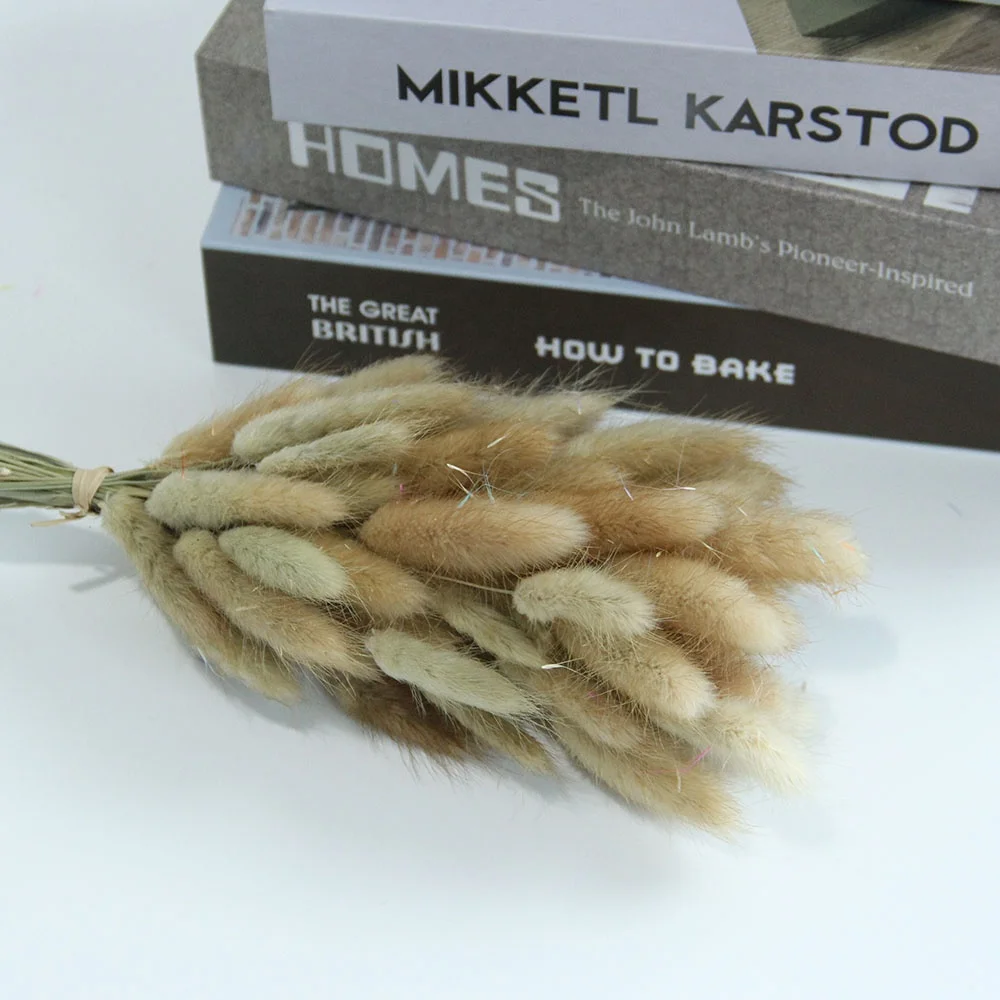 Preserved Dried Rabbit or Bunny Trail Grass Lagurus Ovatus Real Flower Colorful Grass For Home or Wedding Decoration Arrangement