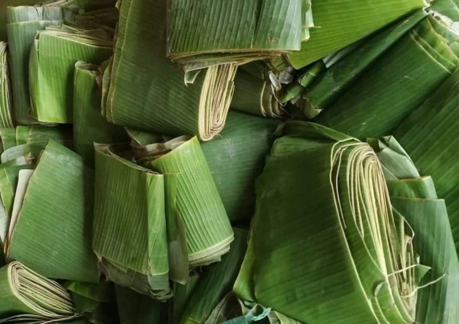 High Quality Frozen Fresh Banana Leaf Natural Green Origin Indonesia Customized Packaging Cavendish Banana in Vietnam