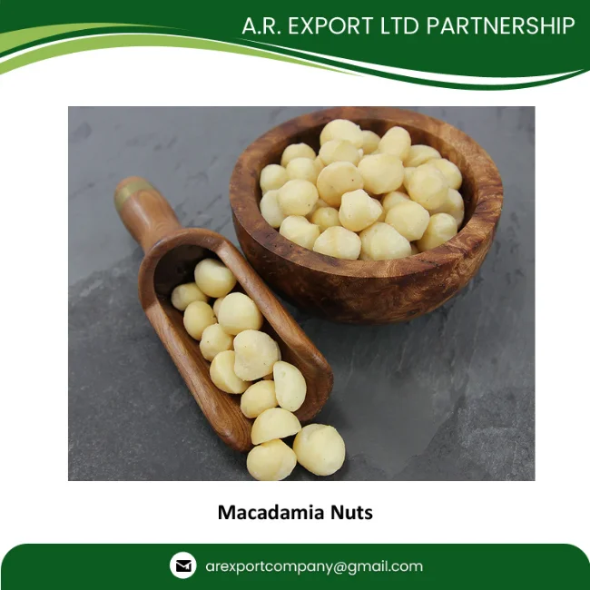 Macadamia Nuts, Roasted Macadamia, Organic Macadamia Nuts Available in Huge Quantity with Export Grade AA Packaging