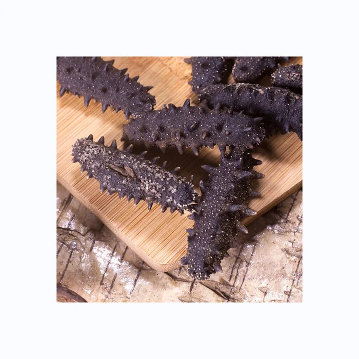 Dried Sea Cucumber / Frozen Sea Cucumber / Fresh Sea Cucumber Best Wholesale Priced Dried & Frozen Sea Cucumber