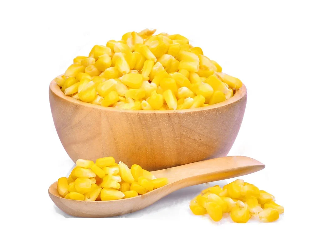 Premium Quality Yellow Corn Maize For Animal Feed / Dried Ukraine Non GMO Yellow Corn For Export