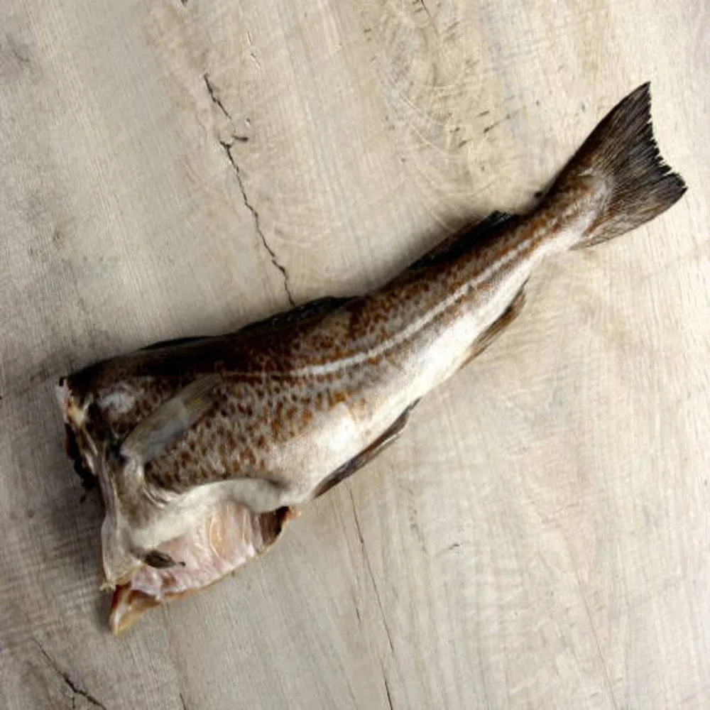 Top Grade Frozen Norwegian Atlantic Cod  H/G at good price