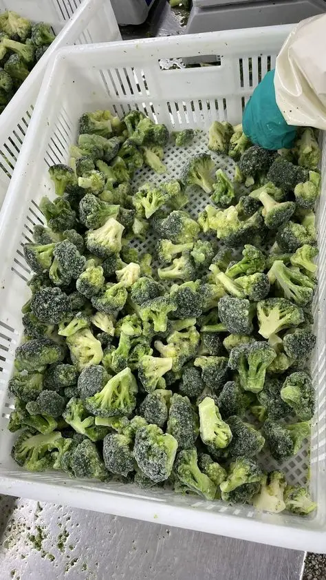 HIGH-QUALITY LOW PRICE / FROZEN VEGETABLE FROM VIET NAM / Ms.May+84 904 183 651/