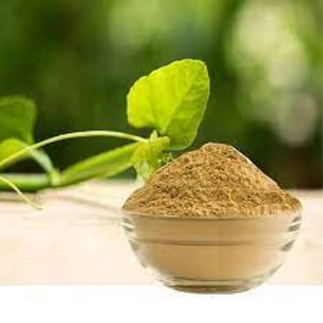 Экстракт высокого качества Чистый cissus quadrangularis порошок по лучшей цене из Индии