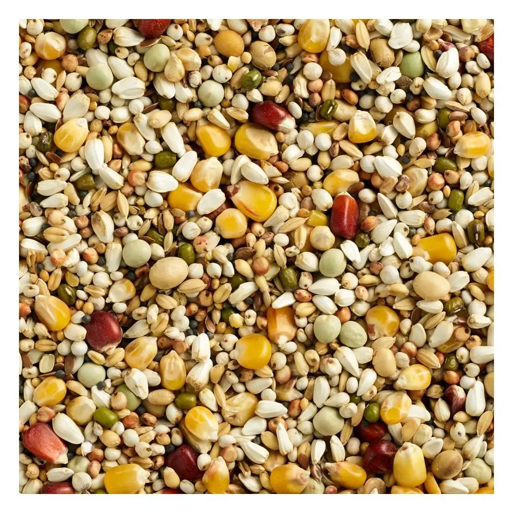 Canary Seeds-Canary Seeds Benefits for birds//Alpiste Canery Seed Powder for Diabetes //Bulk Animal Feed