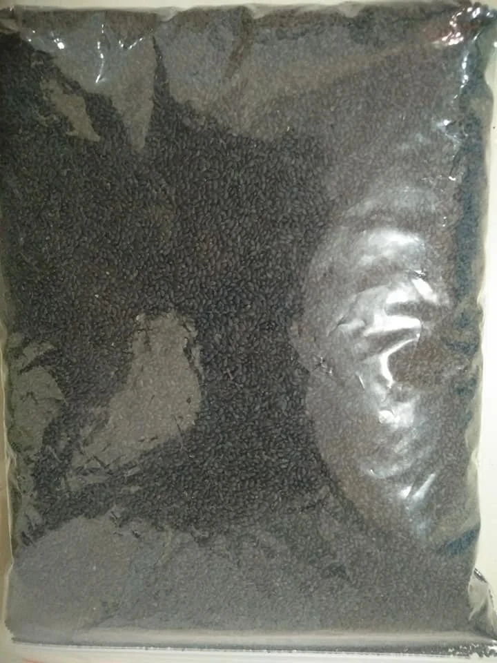 TOP QUALITY 2024 BASIL SEEDS WITH HIGH for WHOLESALE EXPORT