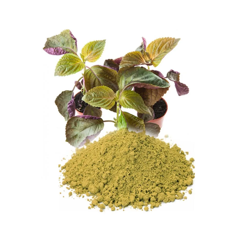 High Quality Perilla Powder Products Hot Selling Powder Extraction