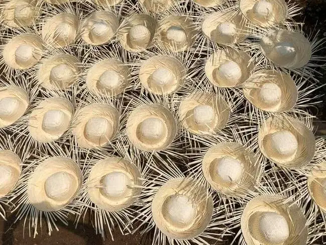 NATURAL STRAW HAT/ COWBOY STRAW HAT- CHEAP PRICE AND HIGH QUALITY/ Ms Jolie (Whatsapp +84902679738)