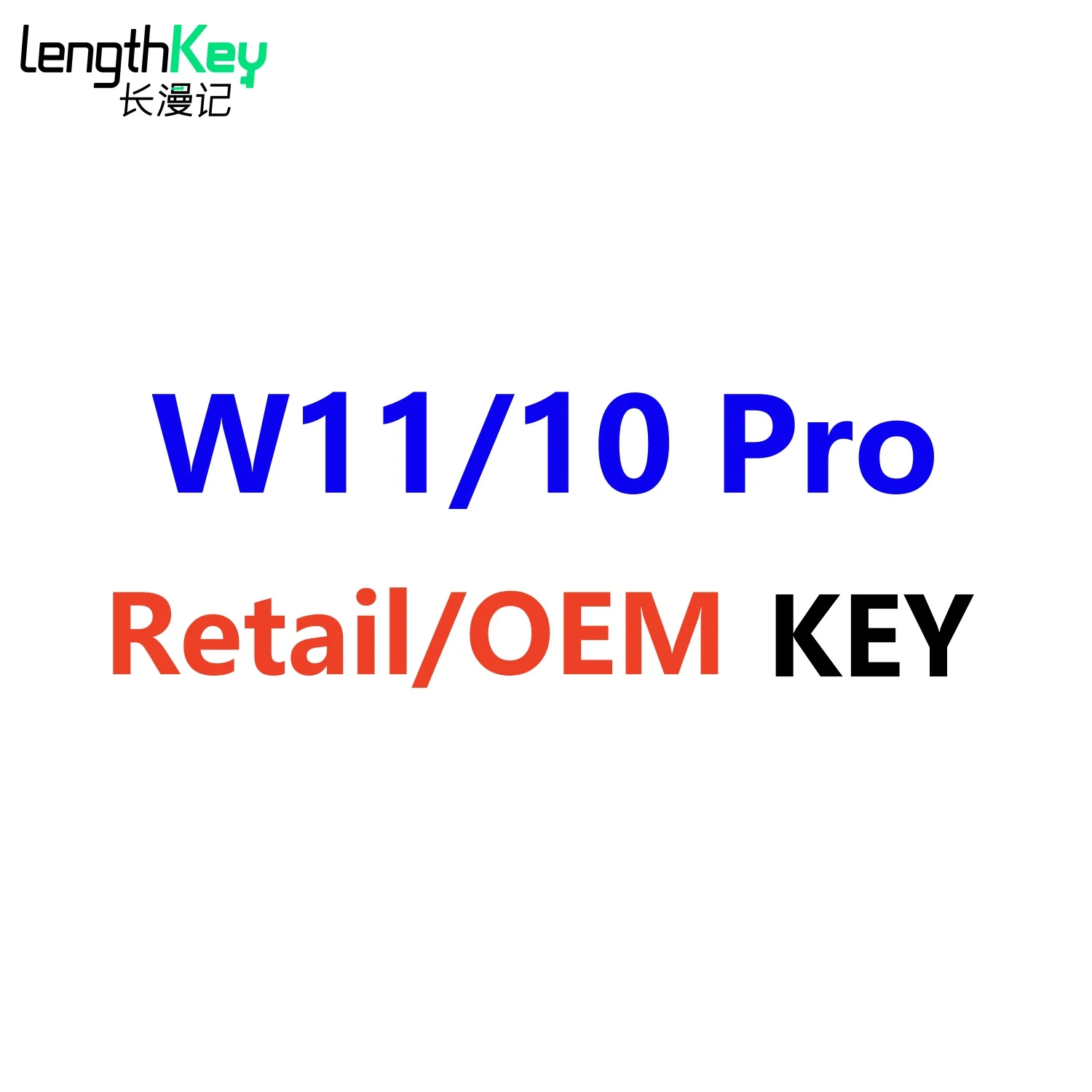 W11/10 Pro Retail /OEM Key