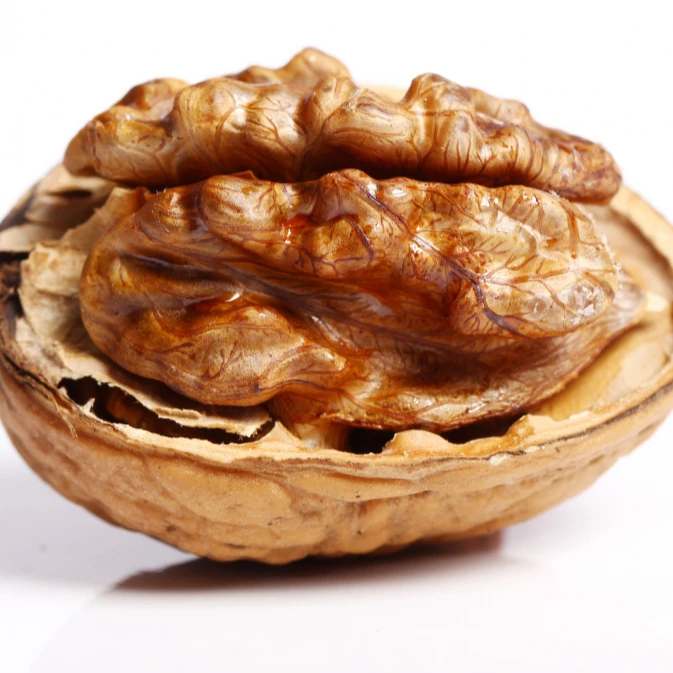 WALNUT 100% PREMIUM QUALITY TURKEY WHOLESALE NUTRITIOUS WALNUT KERNEL THIN SHELL FRESH DELICIOUS WALNUT AGROWELL TURKISHGOODS