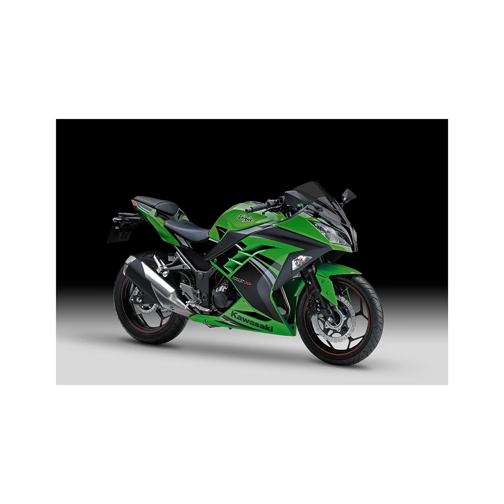 Cheap Kawasaki Ninja 300Dirt Bike