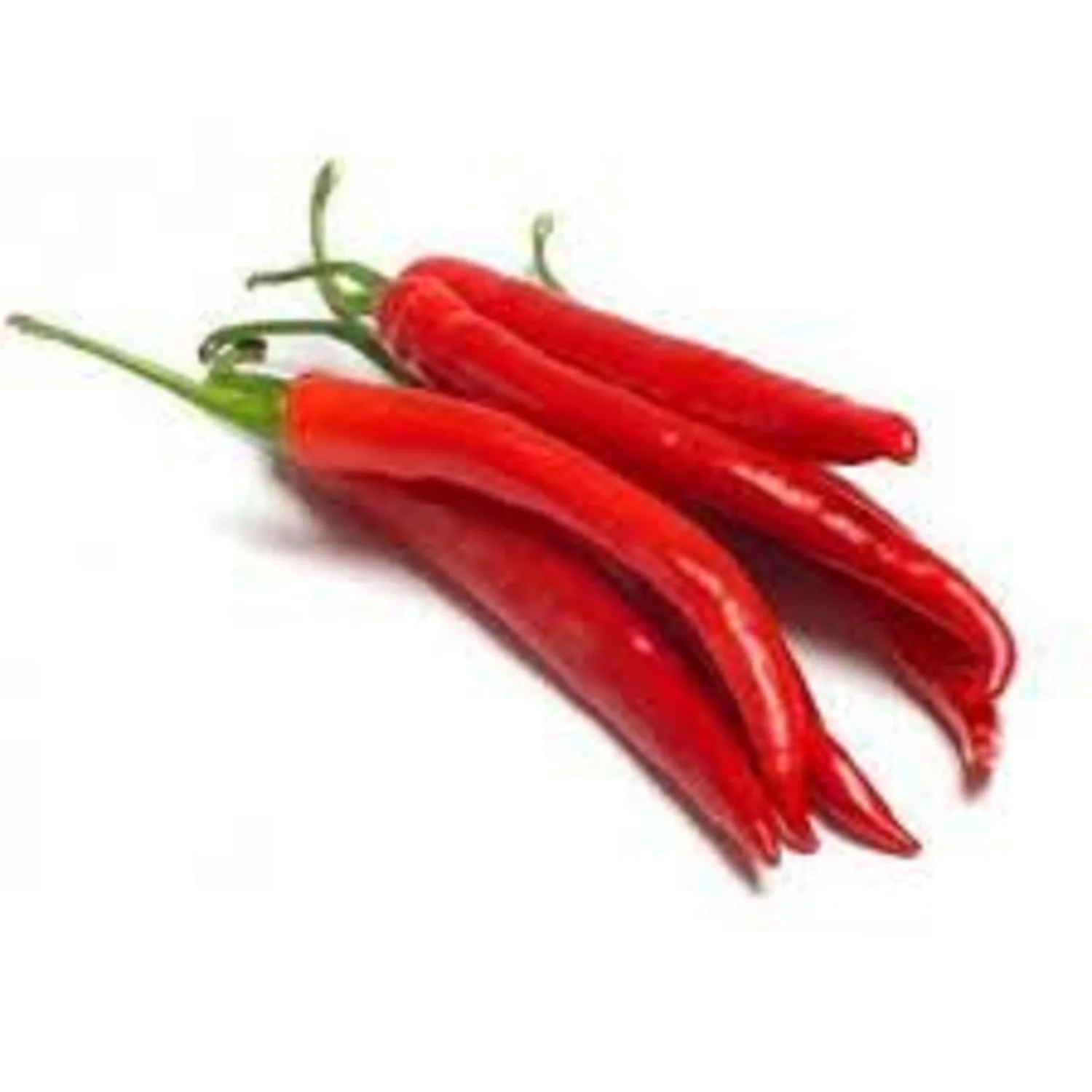 Top Selling Food Seasoning Natural Dried Red Chili Pepper 100% Pure Pure Red Chili Pepper Brazil