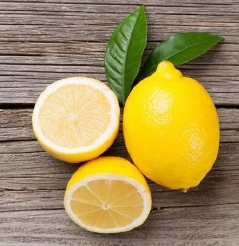 Fresh Green and Yellow Lemon Export Quality Organic Fresh Citrus Fruits at wholesale Price with Packaging