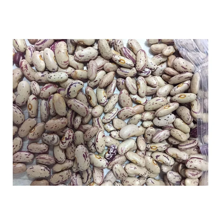 Dried Pinto Bean Best Price Light Speckled Kidney Beans