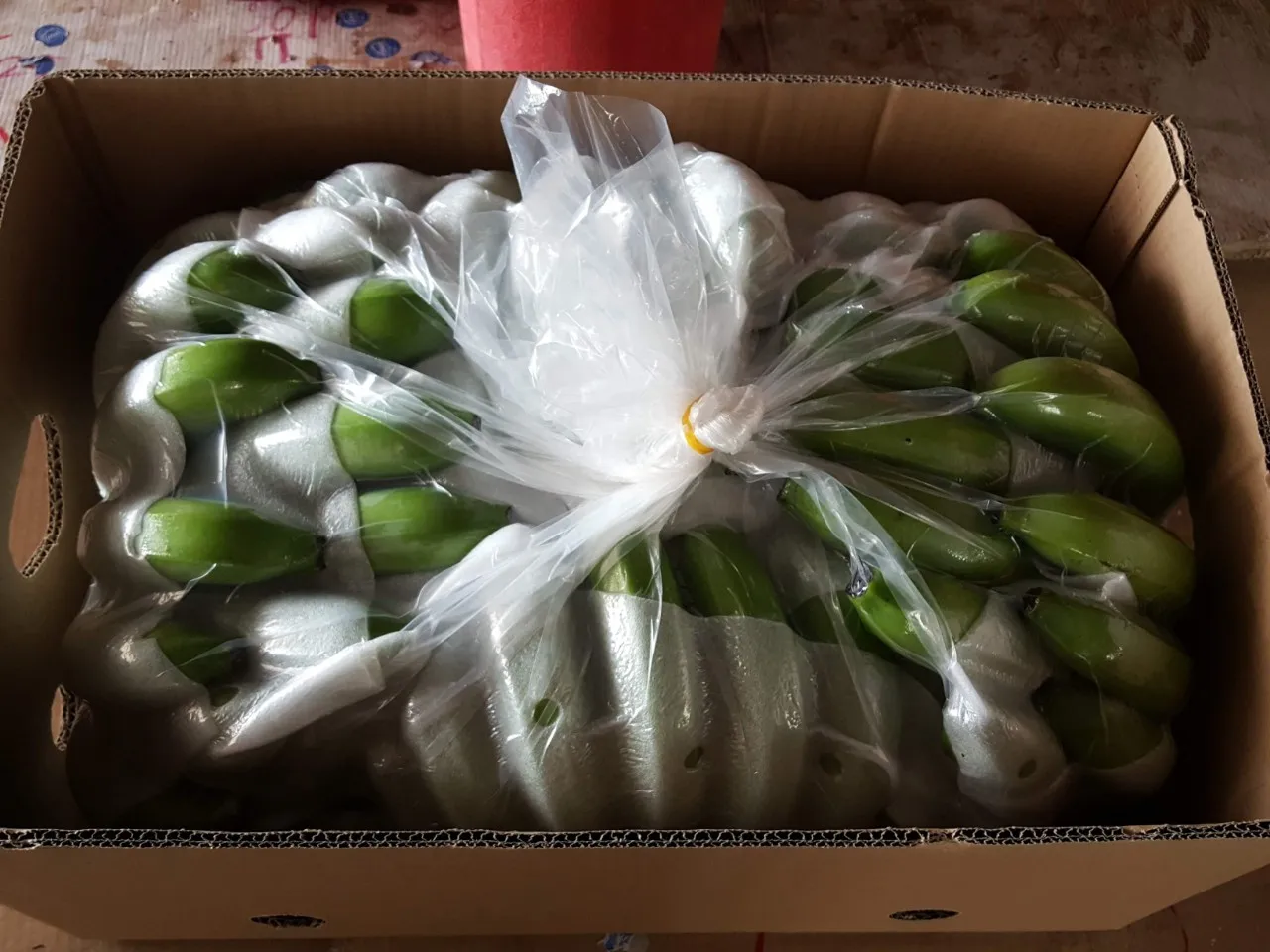 High quality Vietnamese fresh bananas exported to China Korea and Malaysia