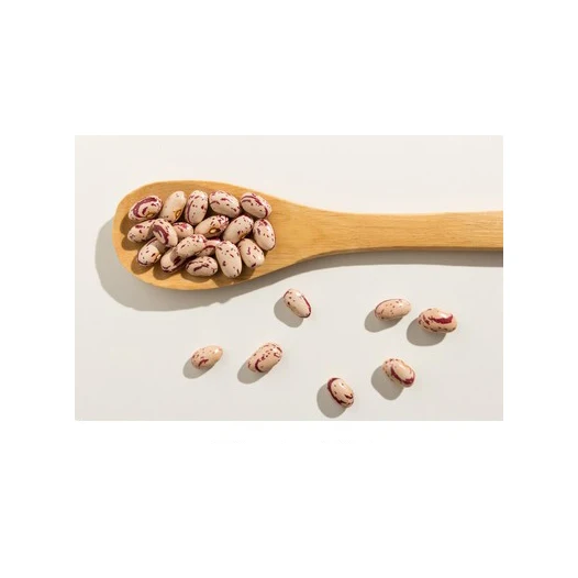 Widely Used Superior Quality Kidney Pinto Beans Wholesale Light Speckled Kidney Bean