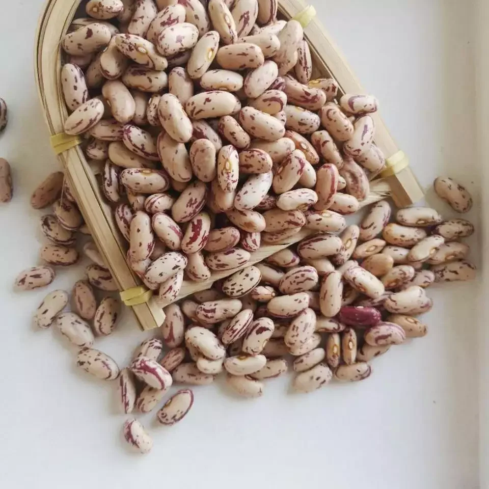 Top One Wholesale Sugar Beans Organic Red Kidney Beans Price