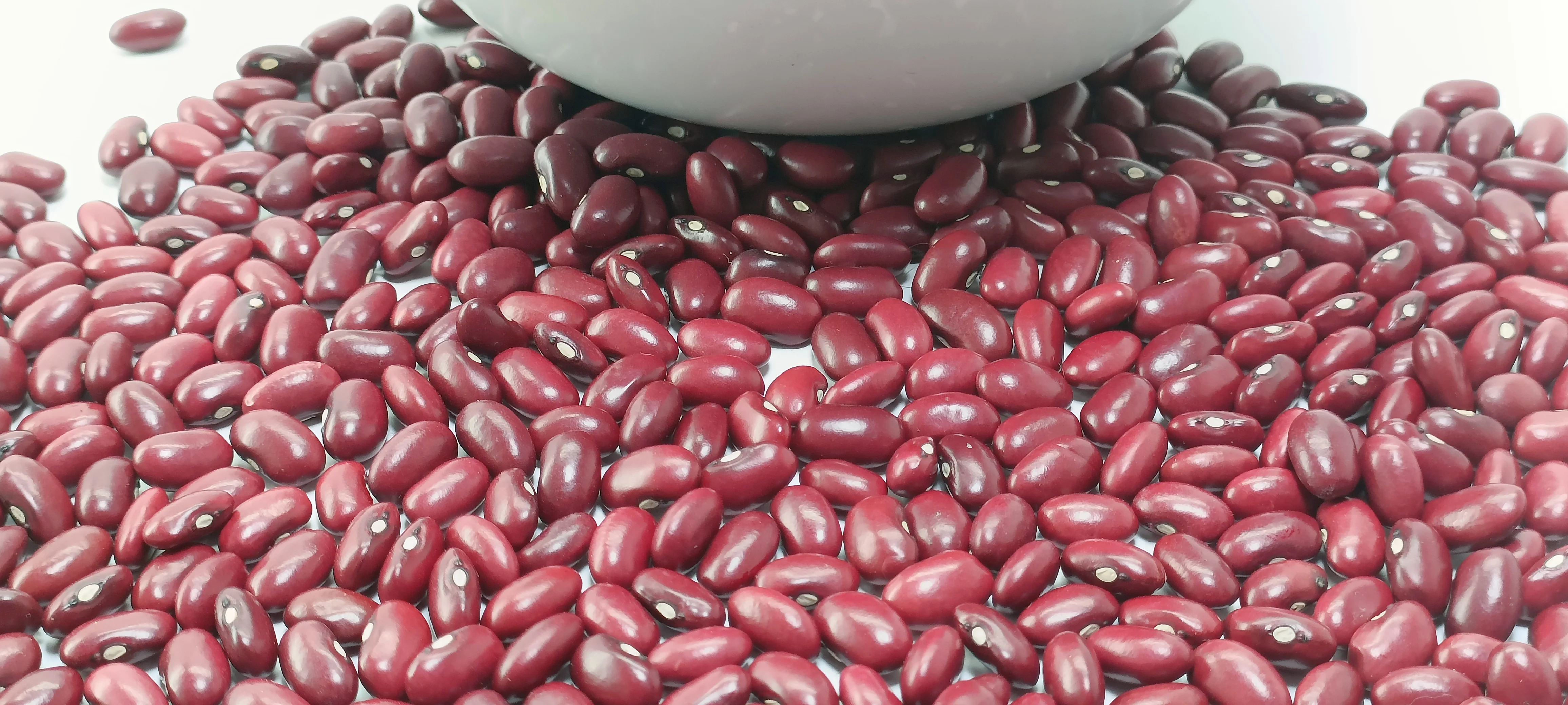 Wholesale Ethiopian Origin Natural Red Kidney Beans, Export Quality, Latest Price, Moisture 14% Max, Direct Sale