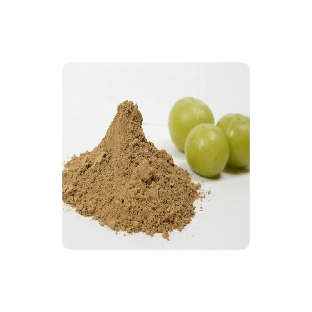 Premium Quality Wholesale Price Natural Amla Fruit Powder for Bulk Buyers amla fruit powder