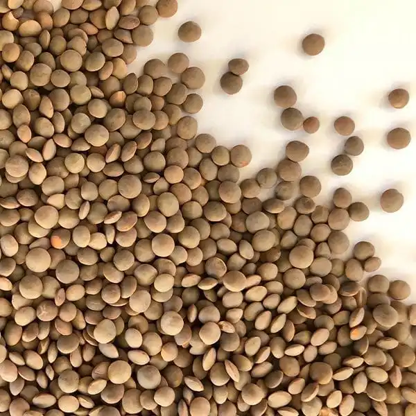 BULK RED LENTILS/ CANADIAN RED LENTILS/ BUY NOW RED LENTILS
