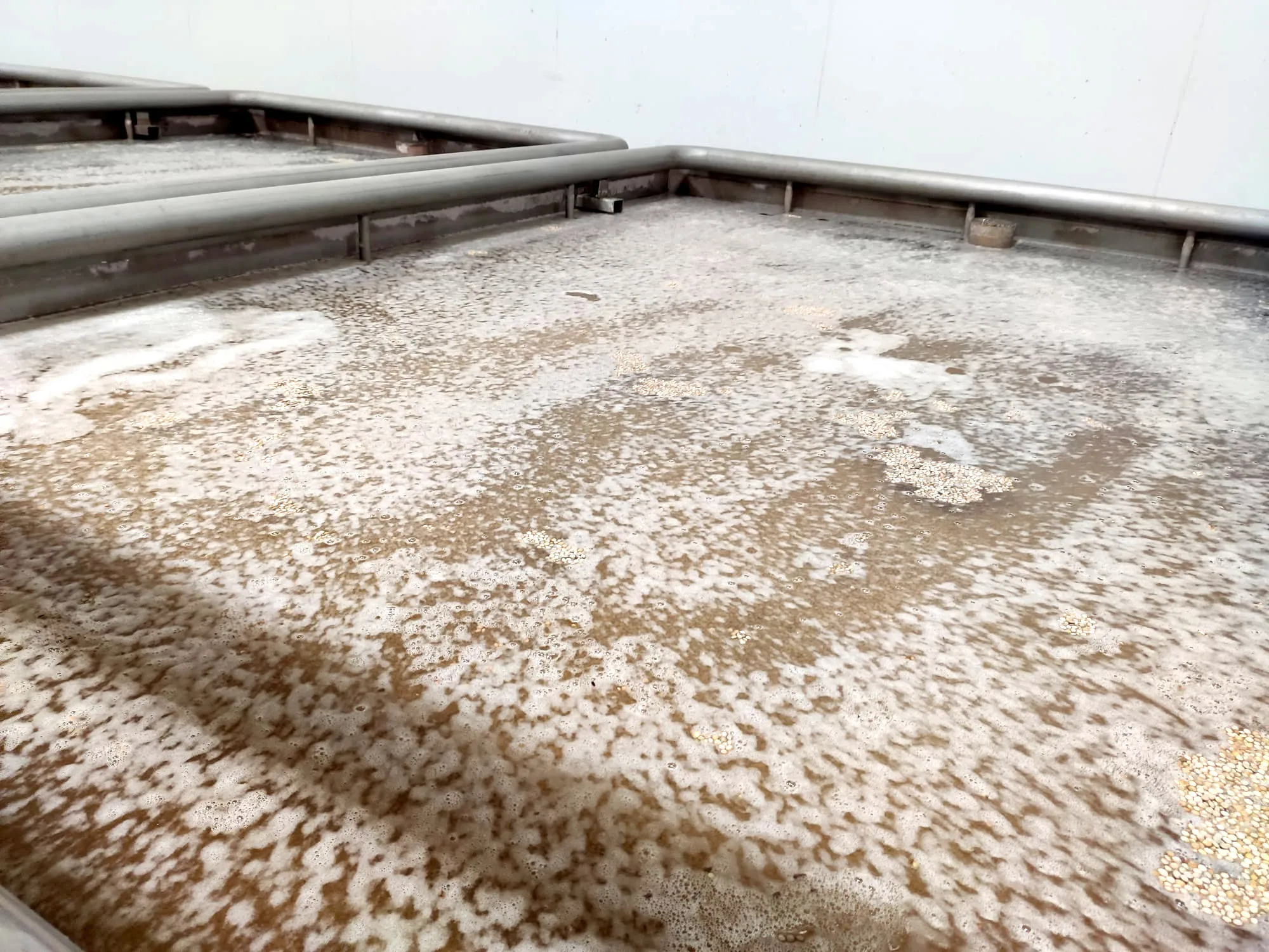 Top Canned Brown Lentils Extra Spanish Quality Legumes Preserves Ready to eatCooked Lentils in jar with Private Label