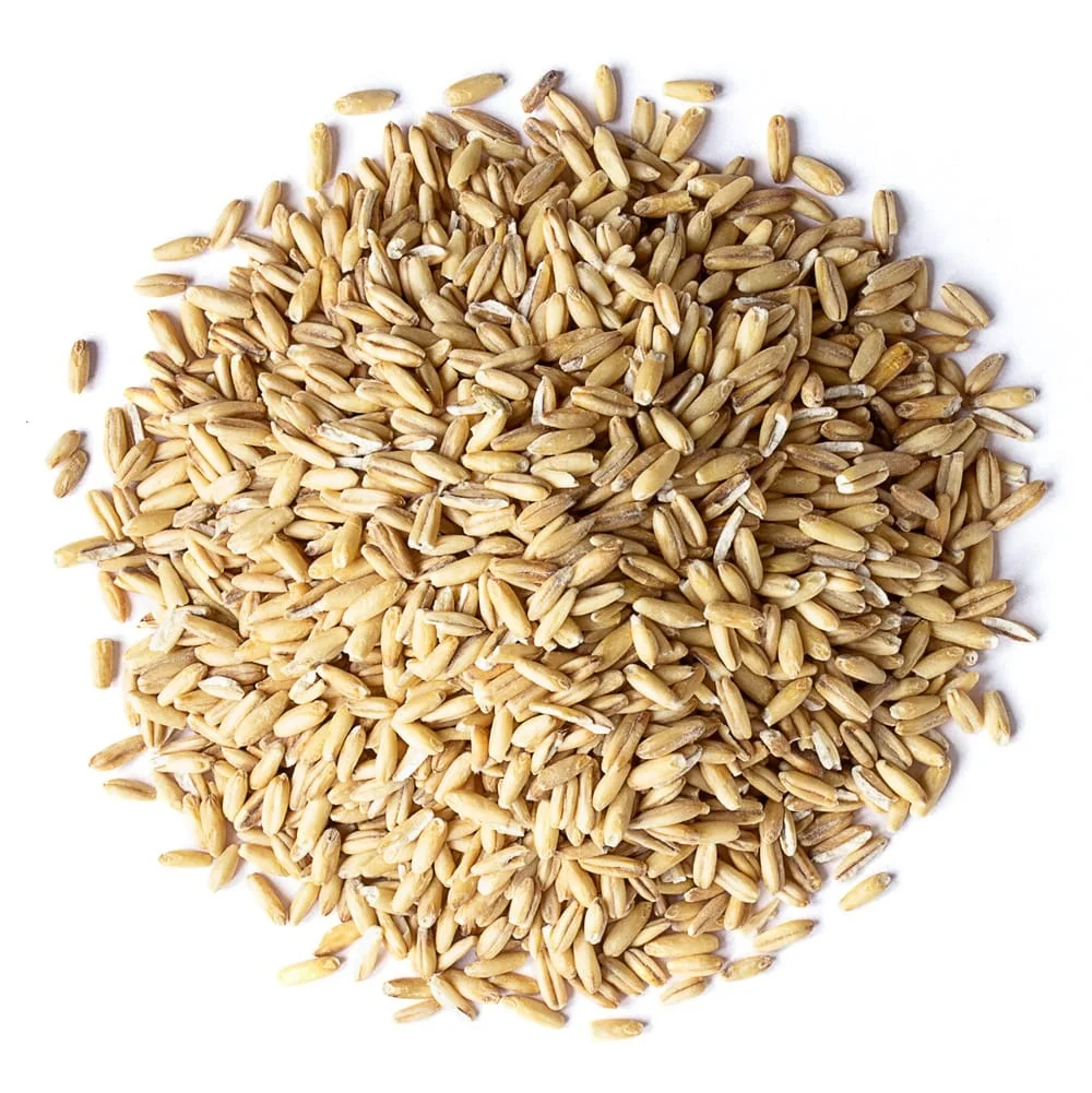 Cheap Wholesale Top Quality Organic Oats Grains In Bulk