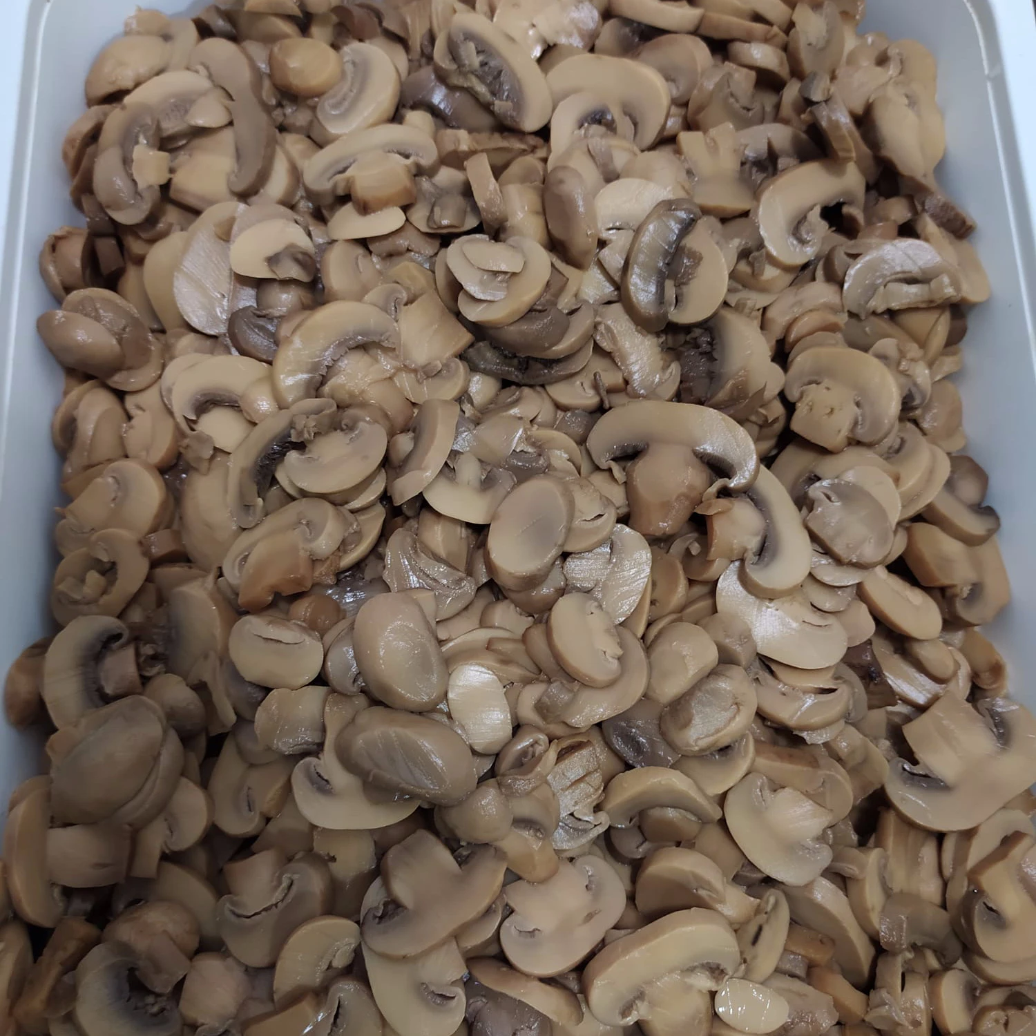 WHITE PASTEURIZED SLICED MUSHROOMS IN BAG