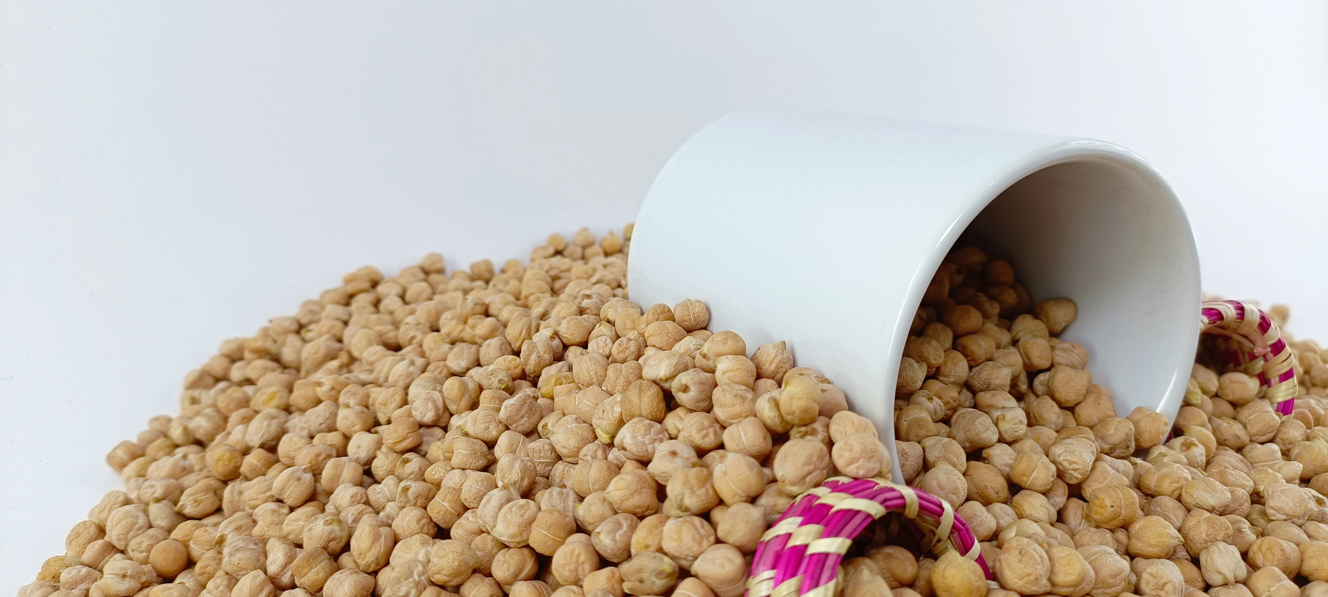 Kabuli Chickpea DP-93