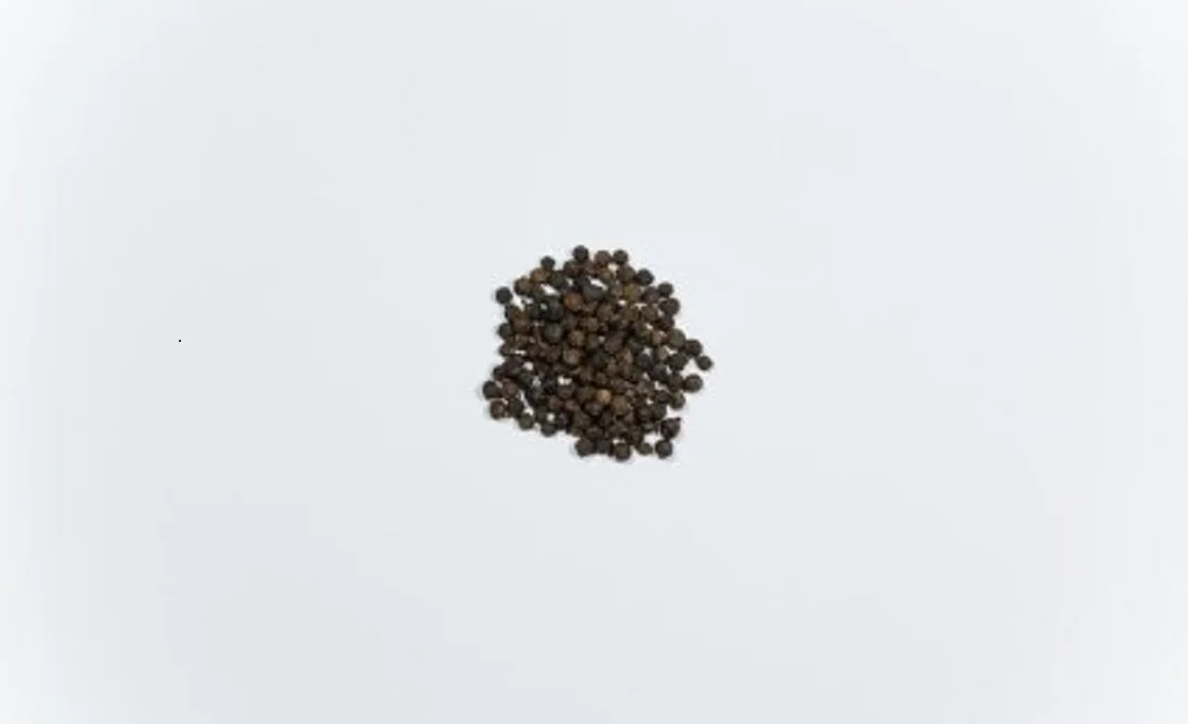Black Peppercorn - Cheap Price Wholesale Hot Selling Rich Nutritious Hot Spicy Black